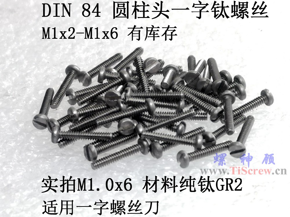 DIN84 圓柱頭一字鈦螺絲M1x2x2.5x3x4x5x6 ISO1207螺神顧