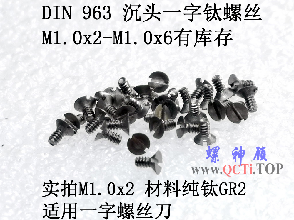 DIN 963 圓柱頭一字鈦螺絲M1x2x2.5x3x4x5x6螺神顧
